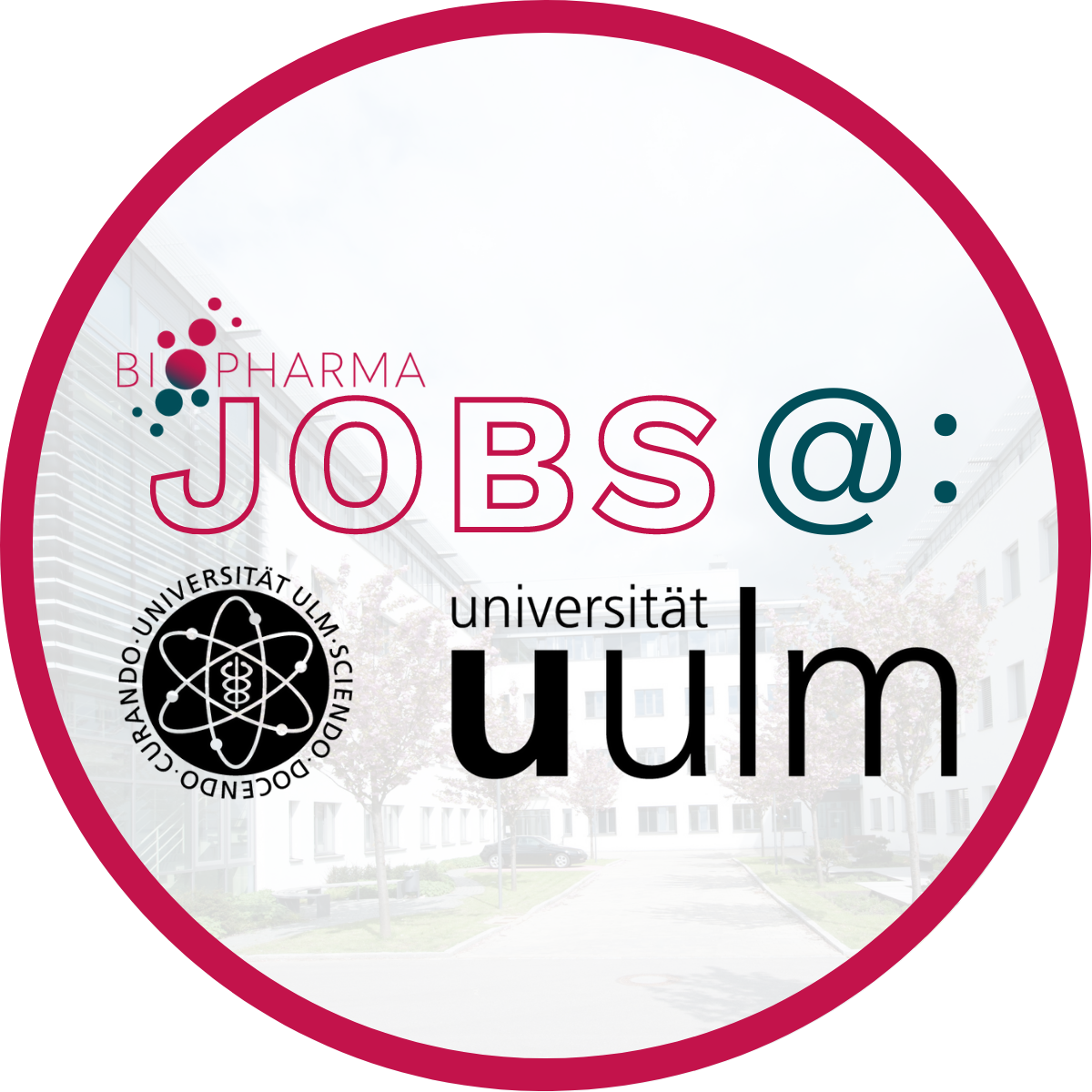 BIOPHARMA CLUSTER BioRegionUlm Job Search